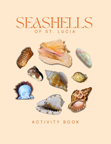 Seashells of St. Lucia Activity Book for Kids Cover
