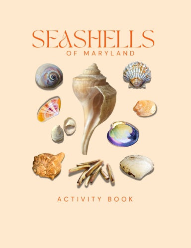 Seashells of Maryland Activity Book for Kids