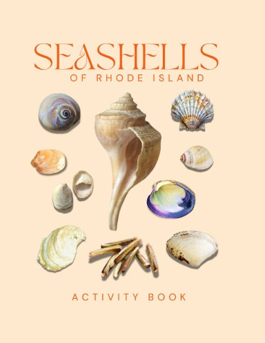 Seashells of Rhode Island Activity Book for Kids
