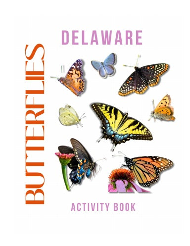 Butterflies of Delaware Activity Book for Kids