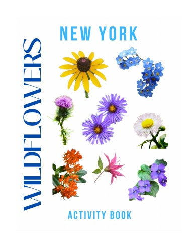Wildflowers of New York Activity Book for Kids