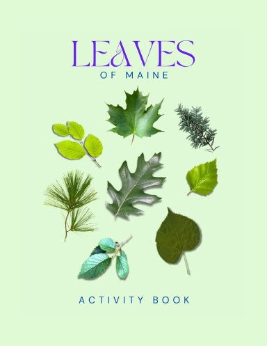 Leaves of Maine Activity Book for Kids