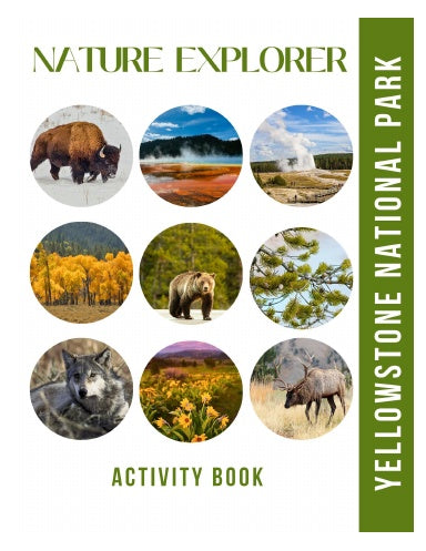 Book Cover Variant Thumbnail