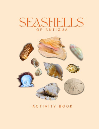 Seashells of Antigua Activity Book for Kids Cover