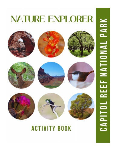 Book Cover Variant Thumbnail