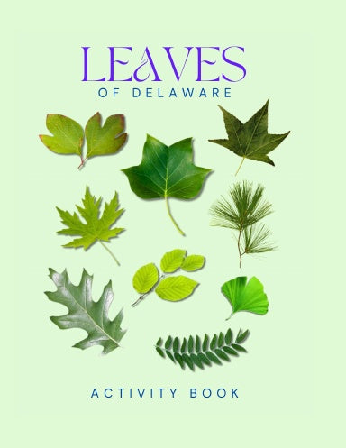 Leaves of Delaware Activity Book for Kids