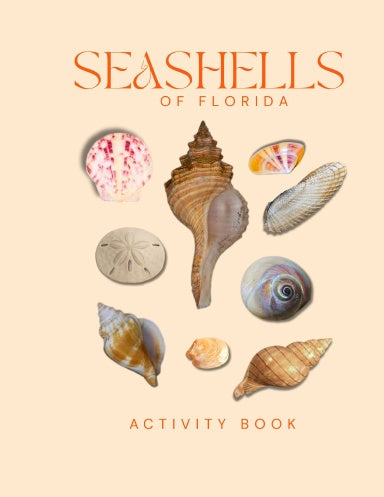 Seashells of Florida Activity Book for Kids