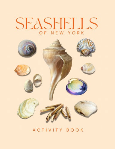 Seashells of New York Activity Book for Kids