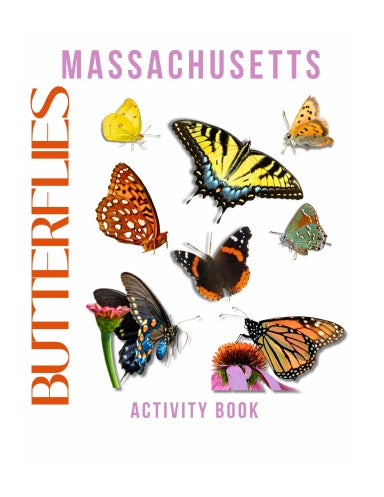 Butterflies of Massachusetts Activity Book for Kids