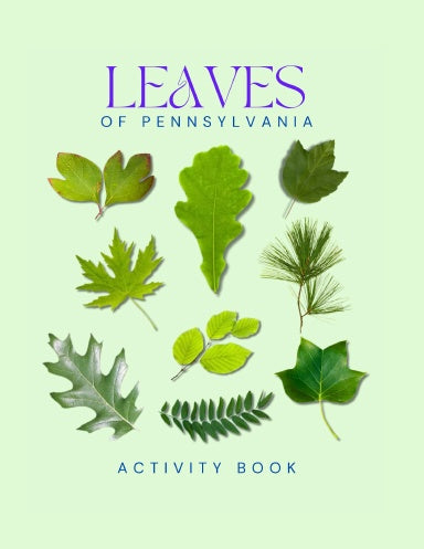 Leaves of Pennsylvania Activity Book for Kids