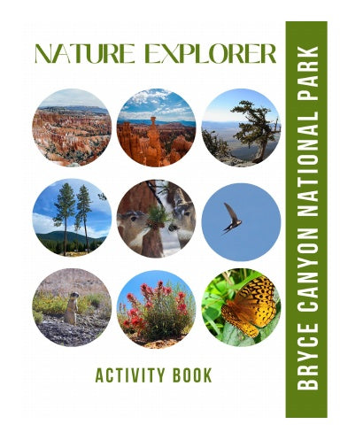 Book Cover Variant Thumbnail