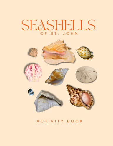 Seashells of St. John Activity Book cover
