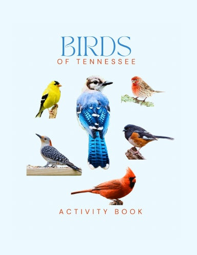 Birds of Tennessee Activity Book for Kids