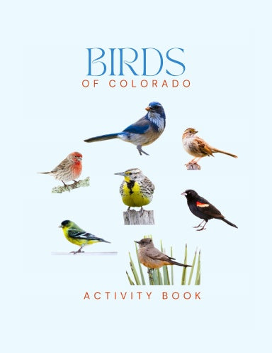 Birds of Colorado Activity Book