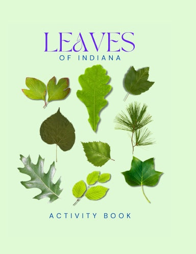 Leaves of Indiana Activity Book for Kids