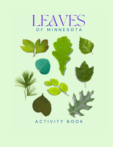 Leaves of Minnesota Activity Book for Kids