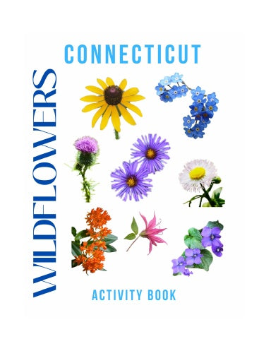 Wildflowers of Connecticut Activity Book for Kids