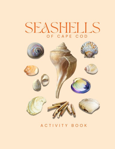 Seashells of Cape Cod Activity Book for Kids