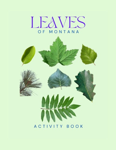 Leaves of Montana Activity Book for Kids