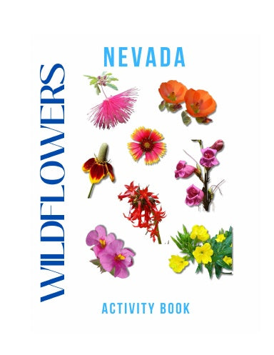 Wildflowers of Nevada Activity Book for Kids