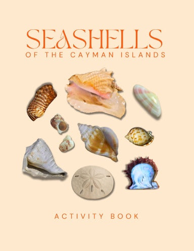 Seashells of The Cayman Islands Activity Book for Kids