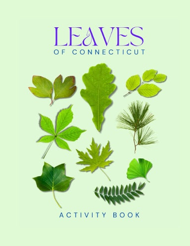 Leaves of Connecticut Activity Book for Kids