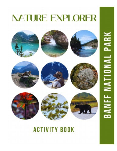 Book Cover Variant Thumbnail