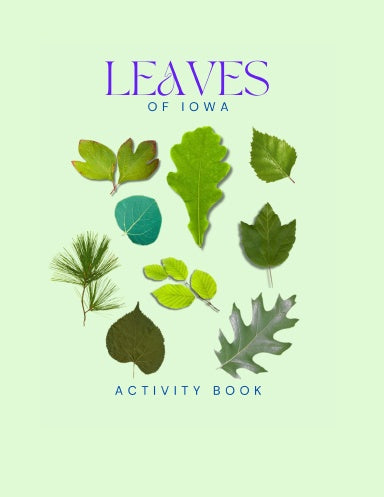 Leaves of Iowa Activity Book for Kids