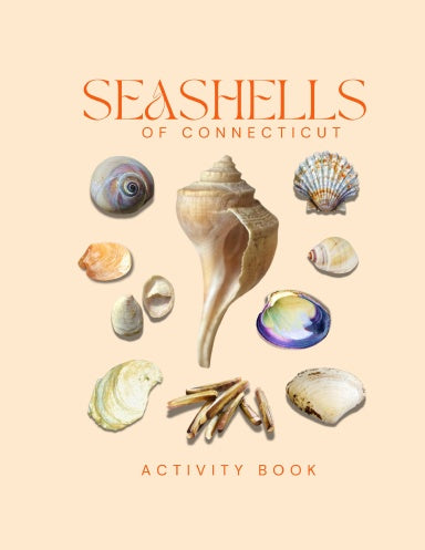 Seashells of Connecticut Activity Book for Kids