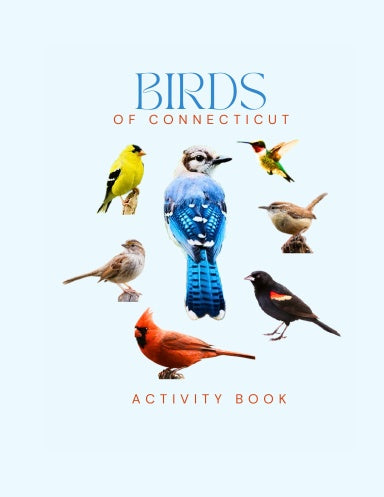 Birds of Connecticut Activity Book