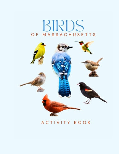 Birds of Massachusetts Activity Book