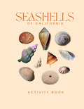 Seashells of California Activity Book