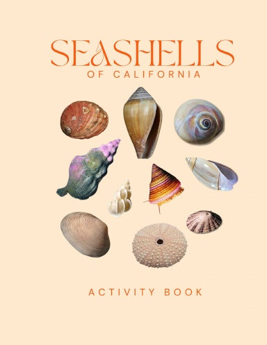 Seashells of California Activity Book for Kids